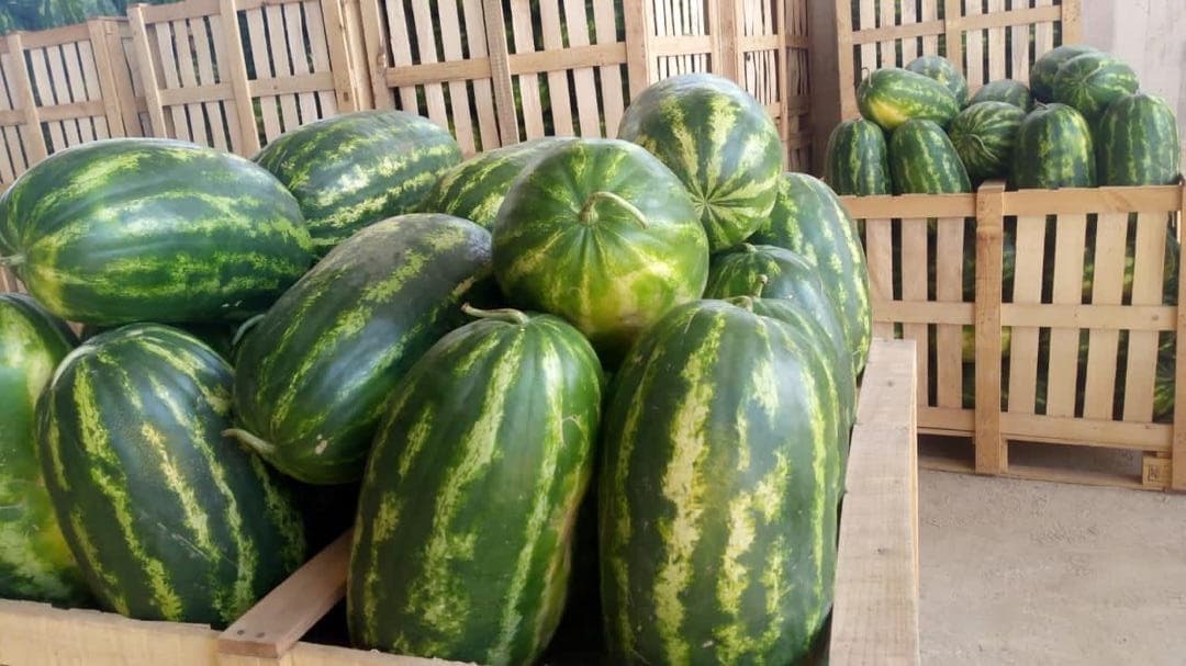 Caisses prêtes pour la distribution